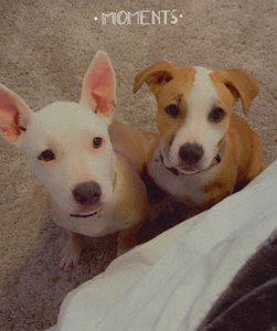 Meet your Posher, Jade